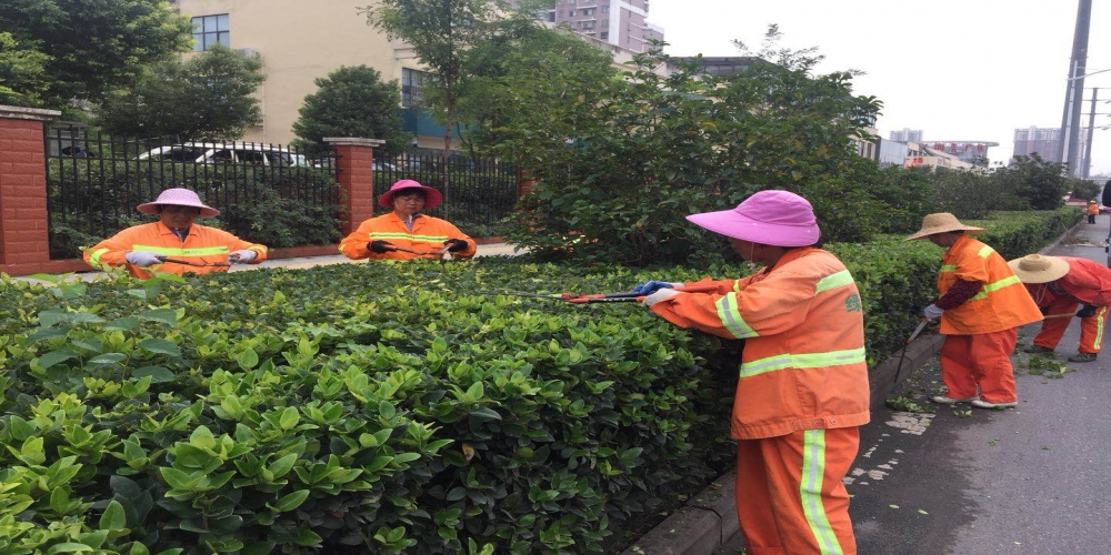 新站區(qū)道路清掃保潔、綠化管養(yǎng)項(xiàng)目